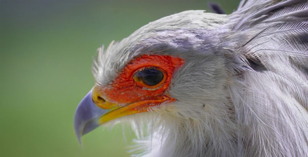 Photograph by Keegan Boland