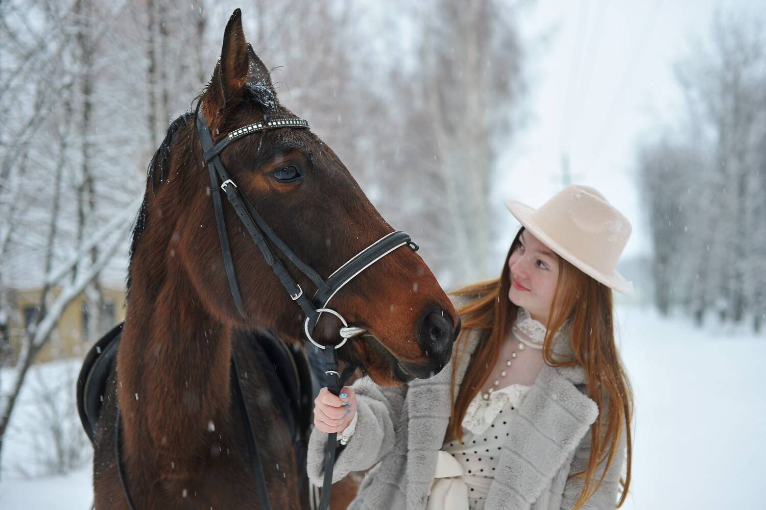 Фотография #13110847