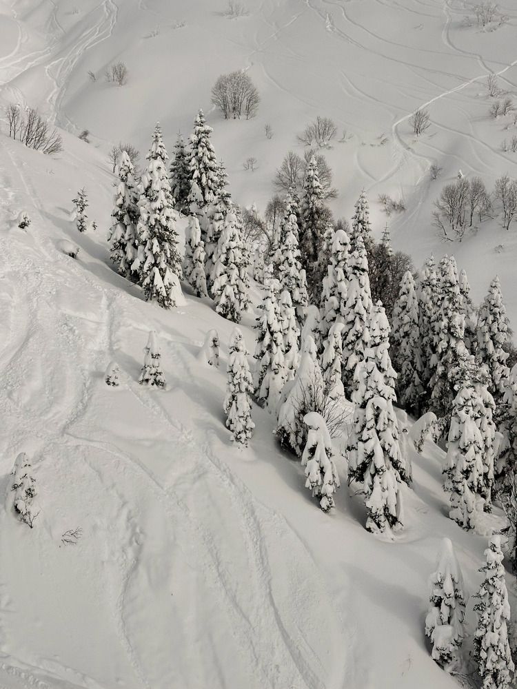 Фотография автора Татьяна Брык