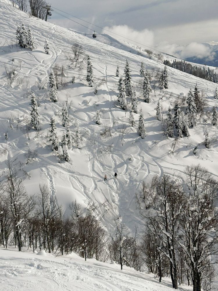 Фотография автора Татьяна Брык
