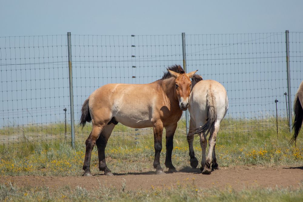 Photograph by Марина Комина