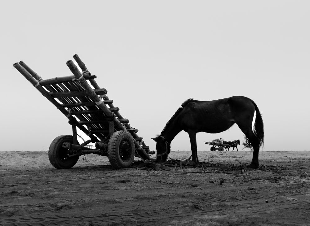 Photograph by Ashik Abrar