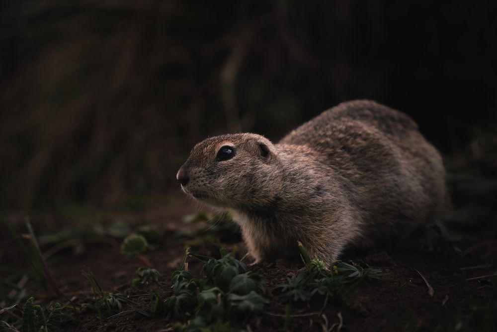 Photograph by Анастасия Зайчуковская