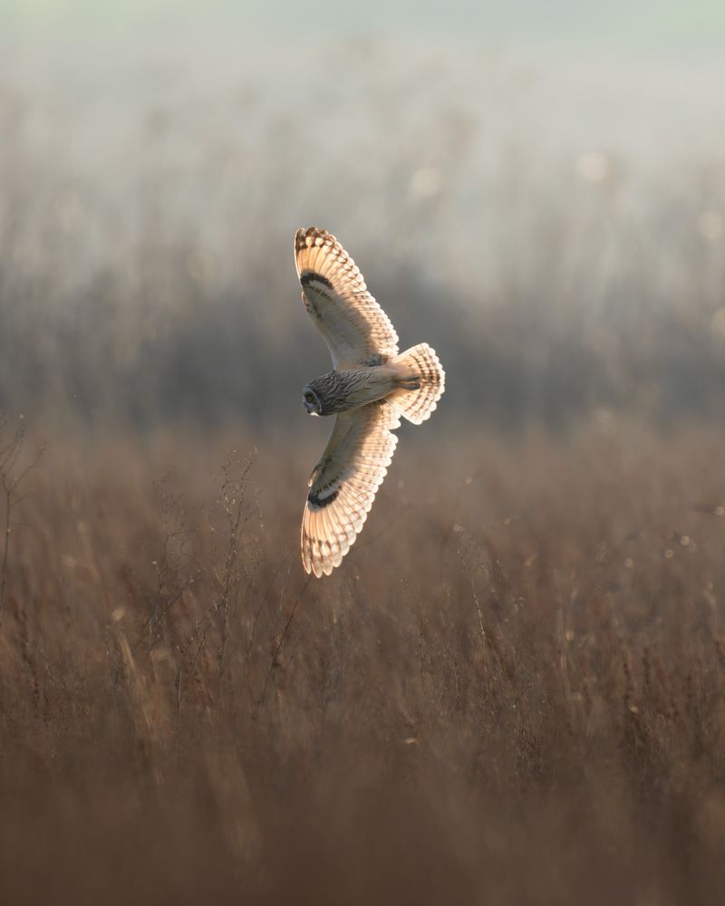Фотография автора Karthik Subramaniam
