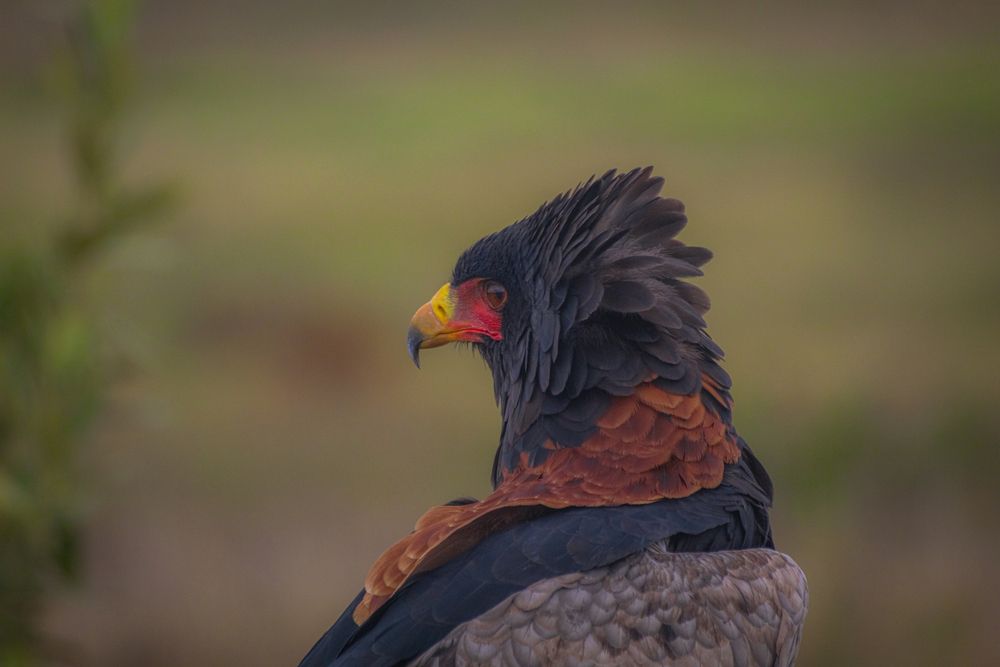 Photograph by Keegan Boland