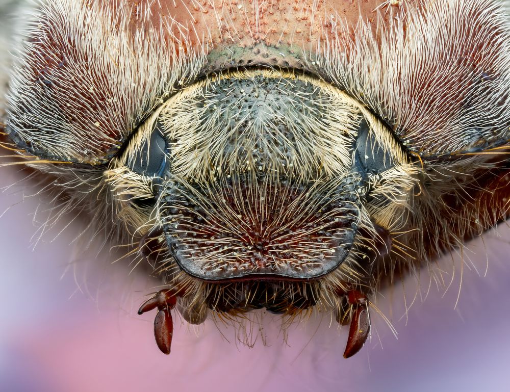 Photograph by Глеб Коровко