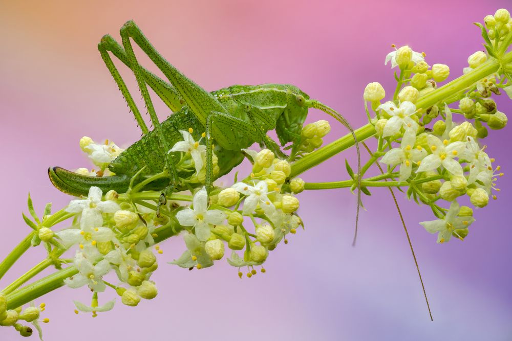 Photograph by Коровко Глеб