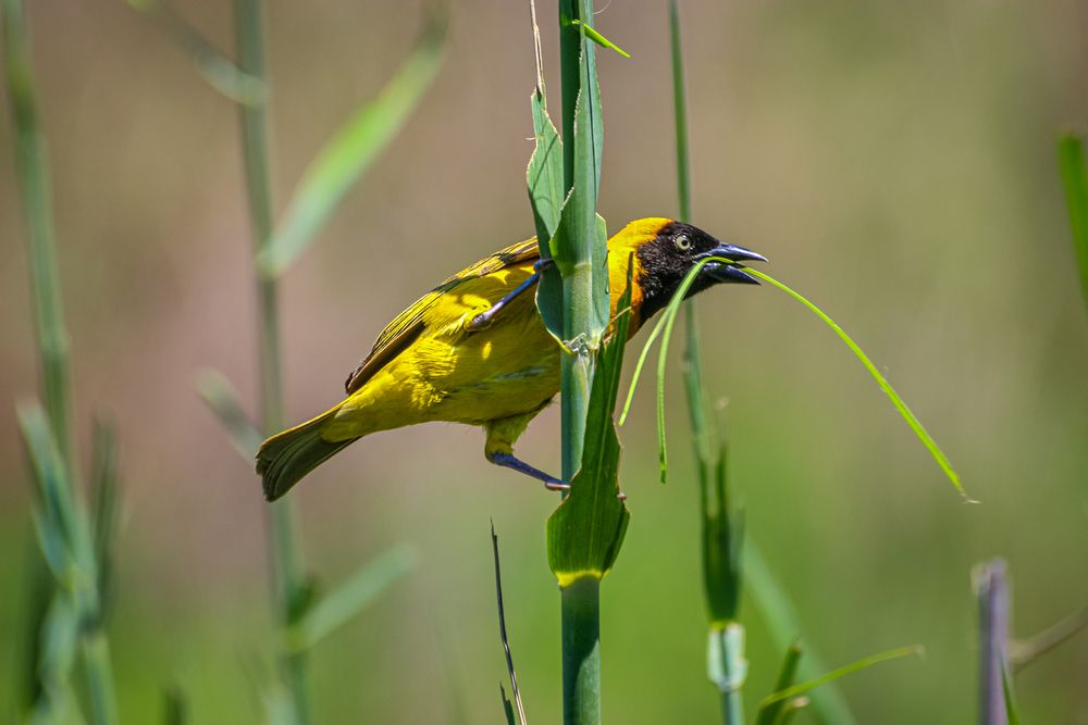 Photograph by Keegan Boland