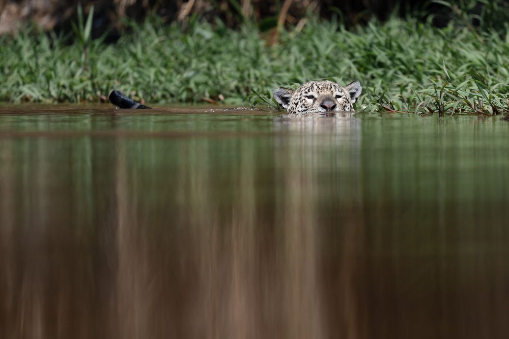 Фотография автора Karthik Subramaniam