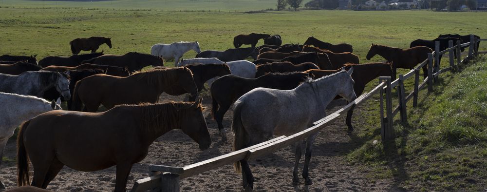 Фотография автора Андрей Семенков