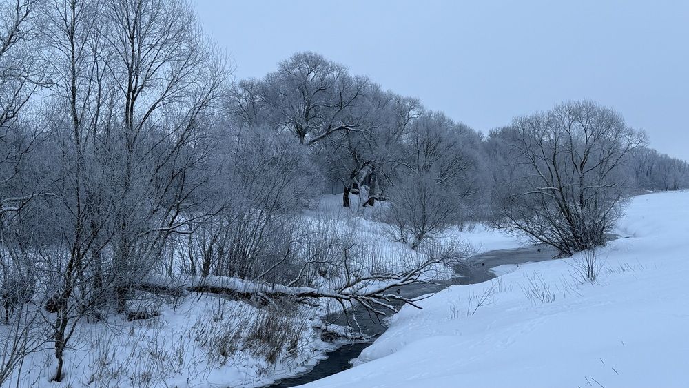 Photograph by Елена Гущина