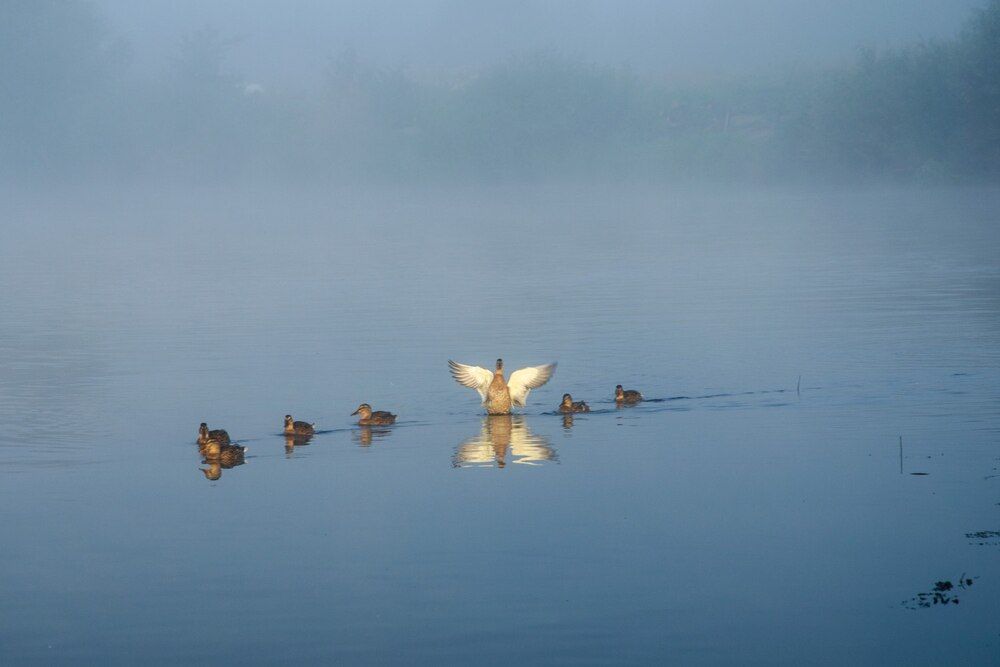 Photograph by Мартынова Галина
