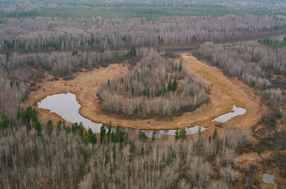 Улыбка болот