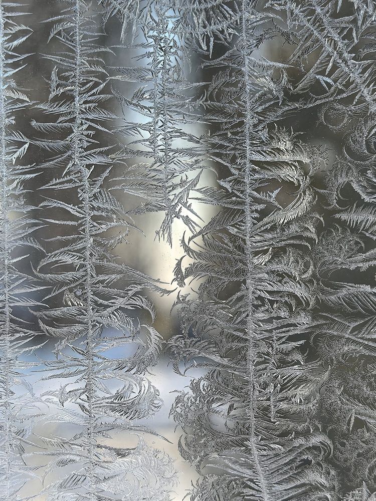 Photograph by Анна Зорька