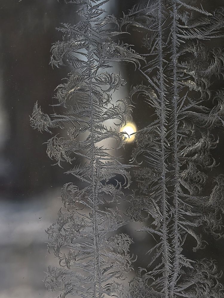 Photograph by Анна Зорька