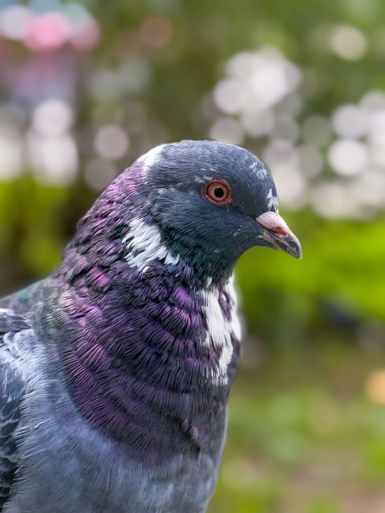 Photograph by Елена Меньшикова