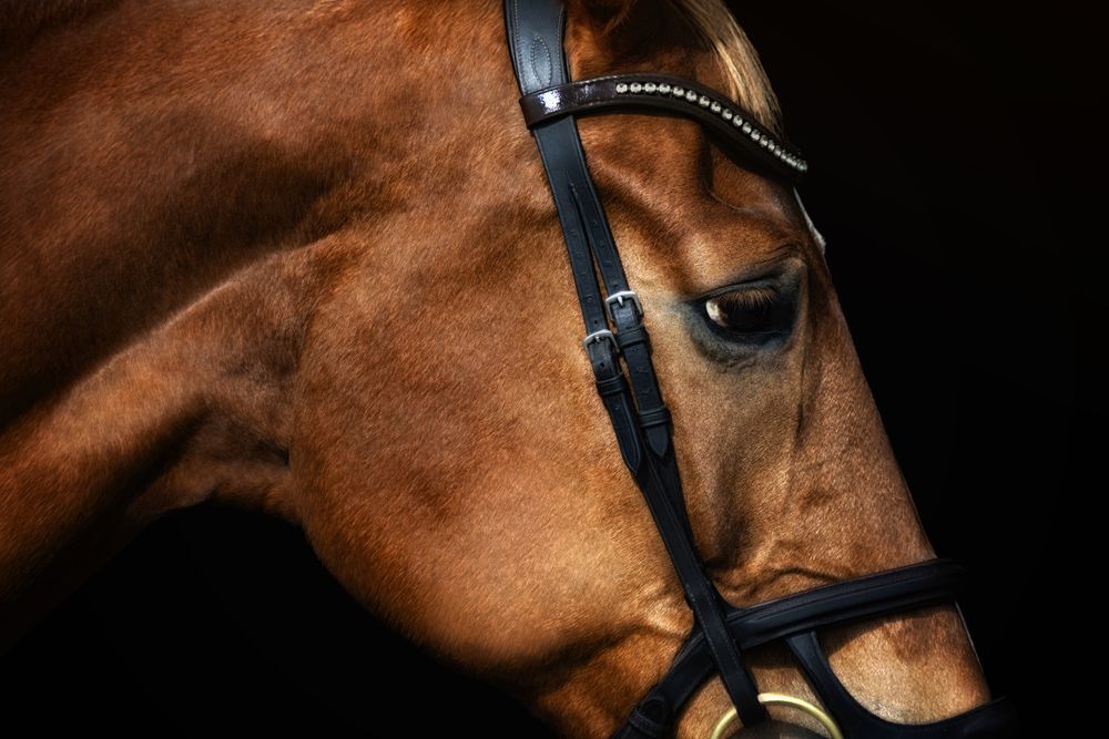 Photograph by Глухарёва Ольга