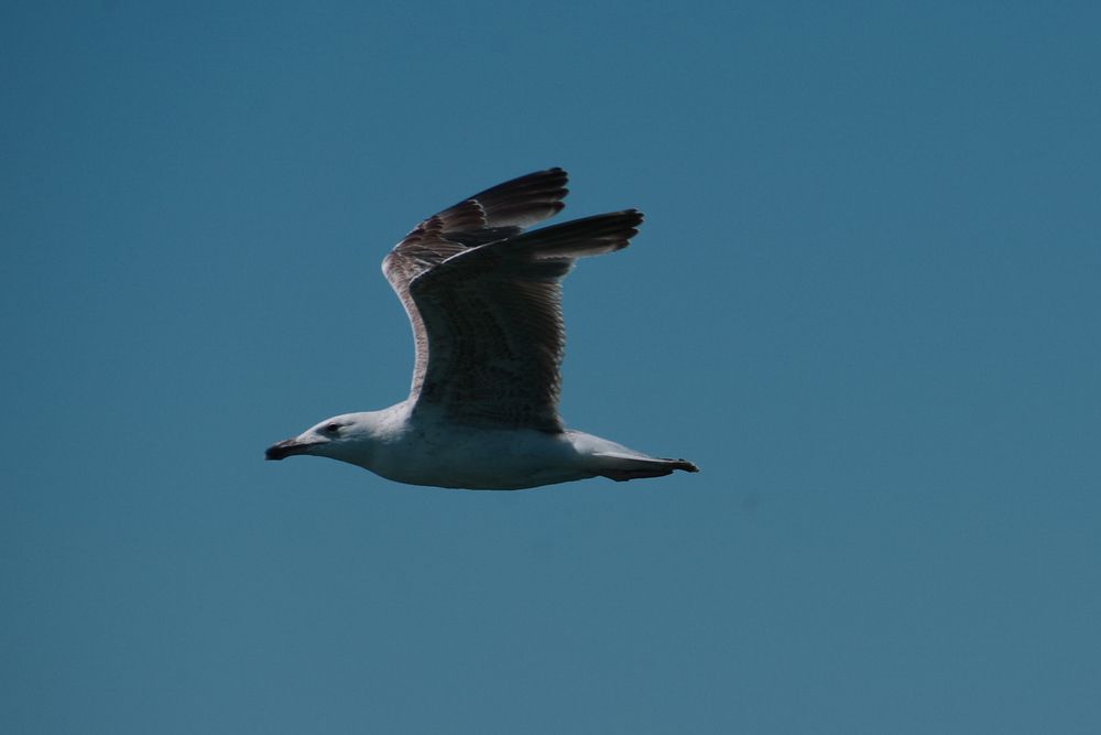 Photograph by Елена Щитова