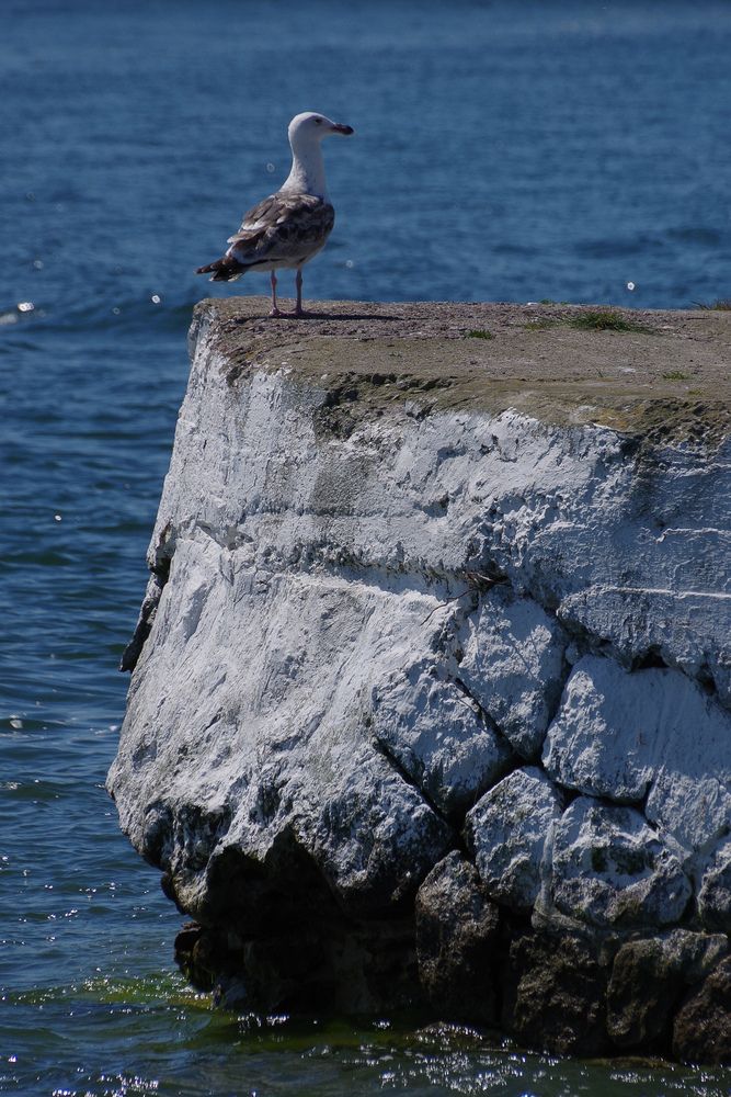 Photograph by Елена Щитова