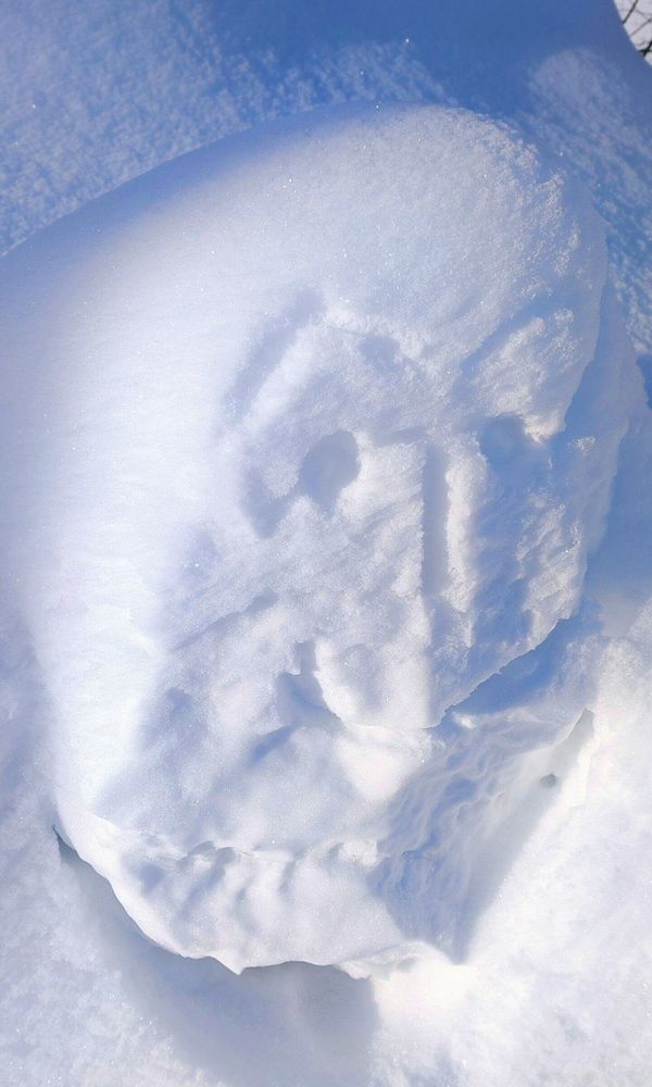 Photograph by Полина Скурская