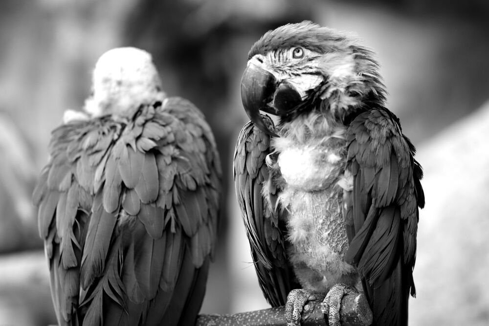 Photograph by Евгения Нестеренко