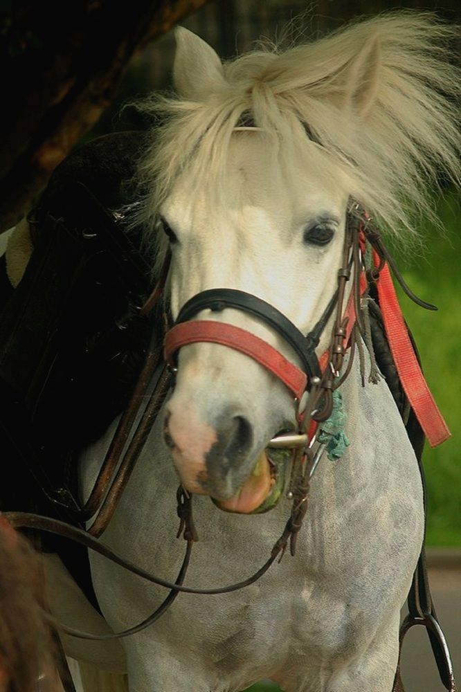 Фотография автора Александра