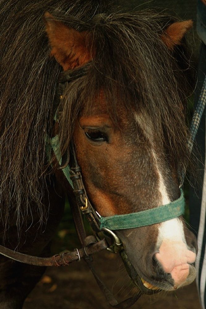 Фотография автора Александра