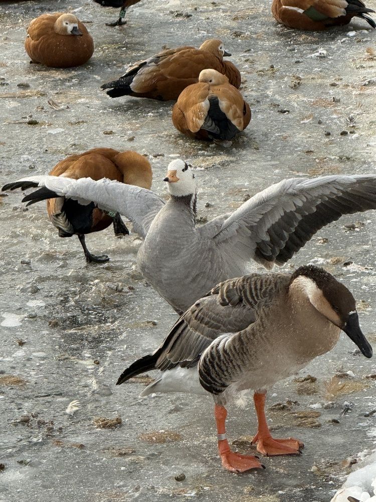 Photograph by Светлана Парамонова