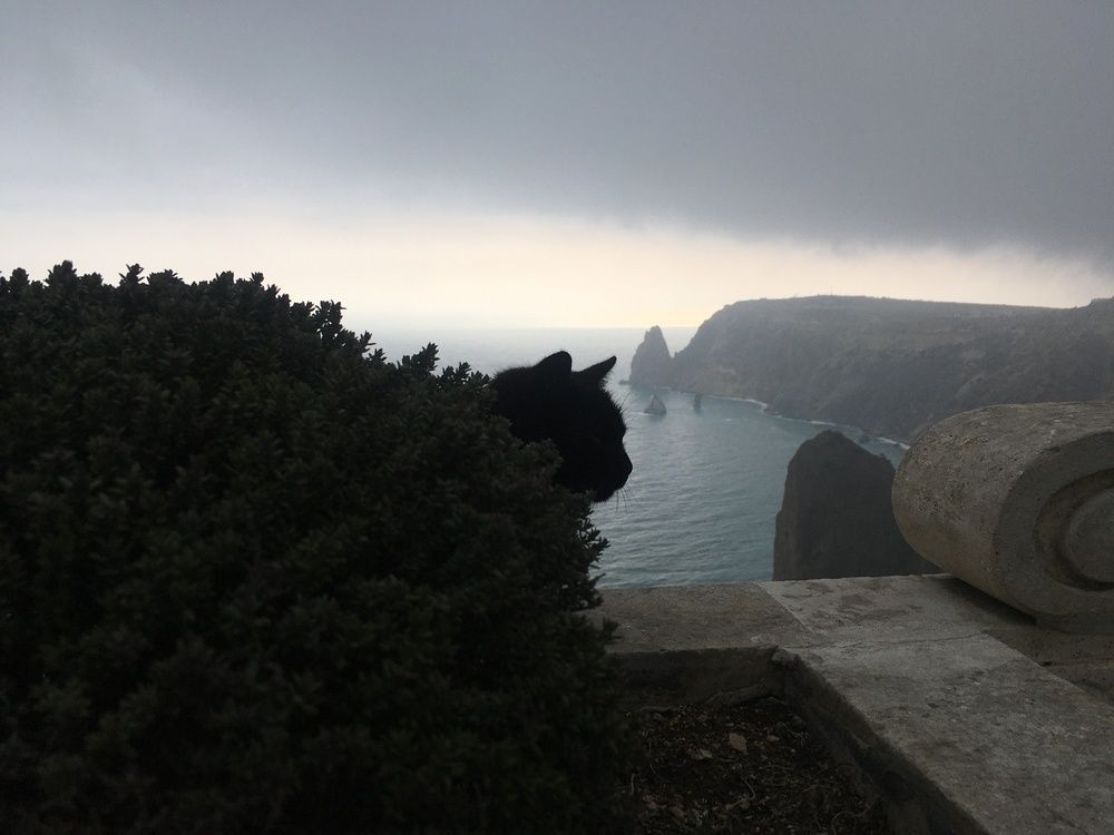 Photograph by Игорь Ребров