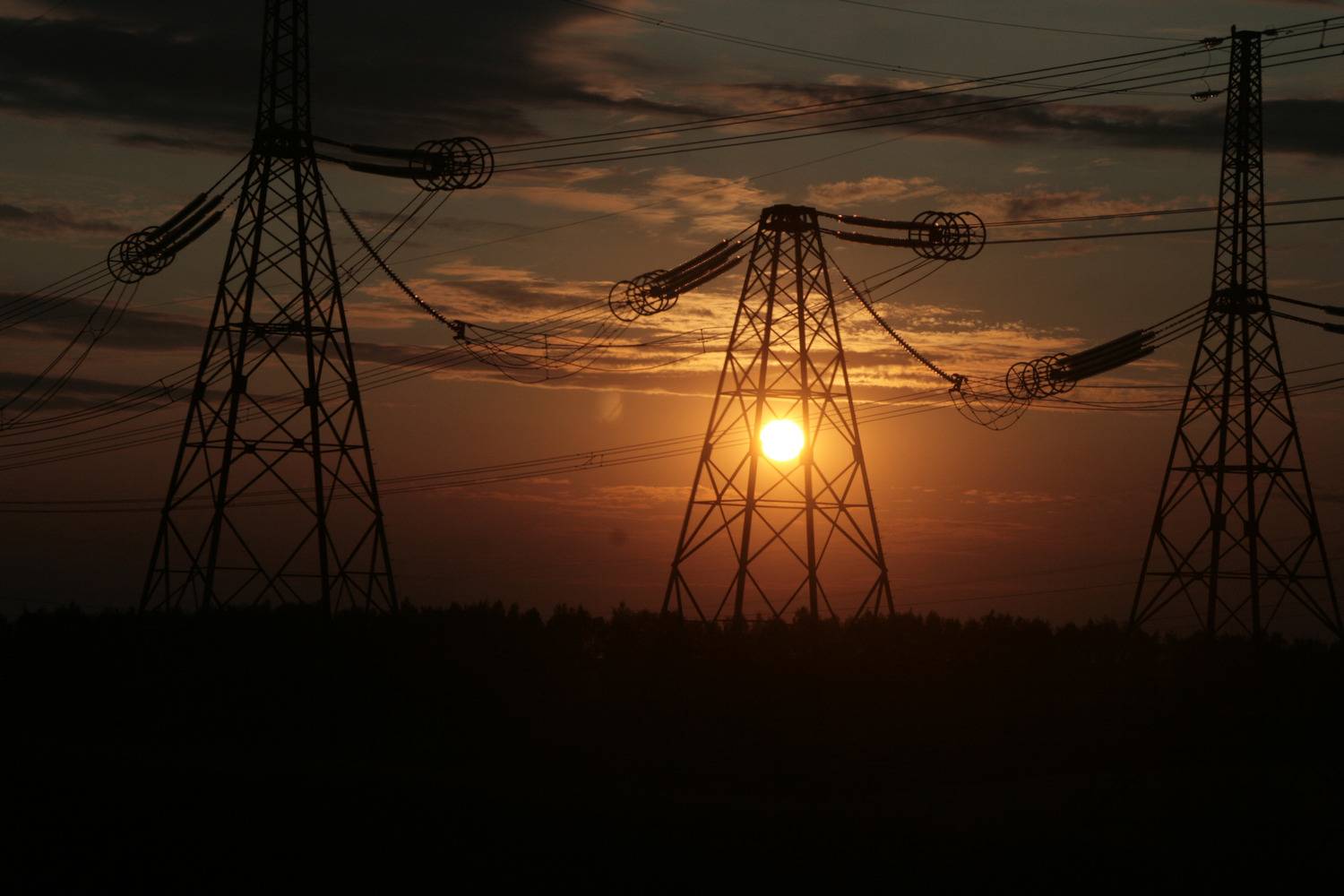 Photo #13111445