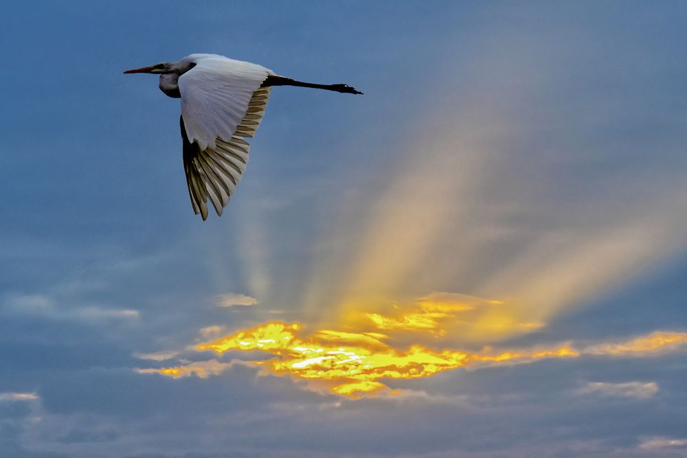 Над солнцем