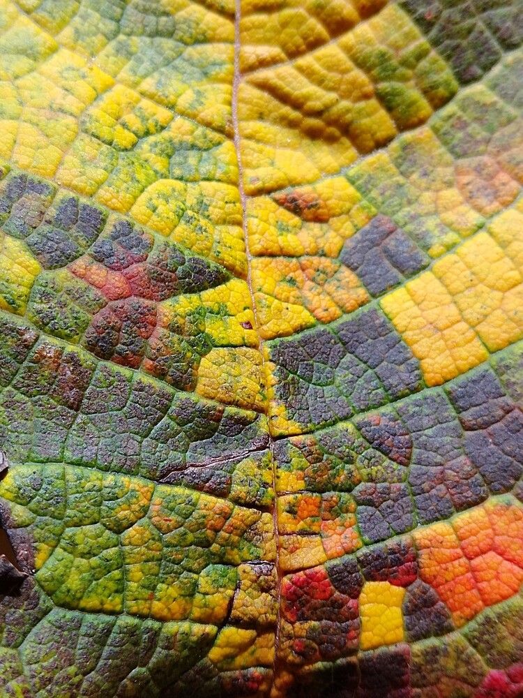 Photograph by Людмила Баглей