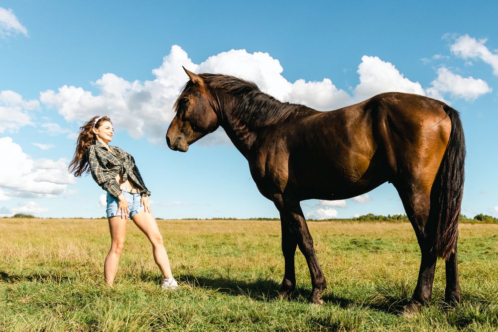 Photograph by Николай Шепелев