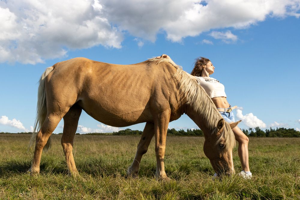 Photograph by Николай Шепелев
