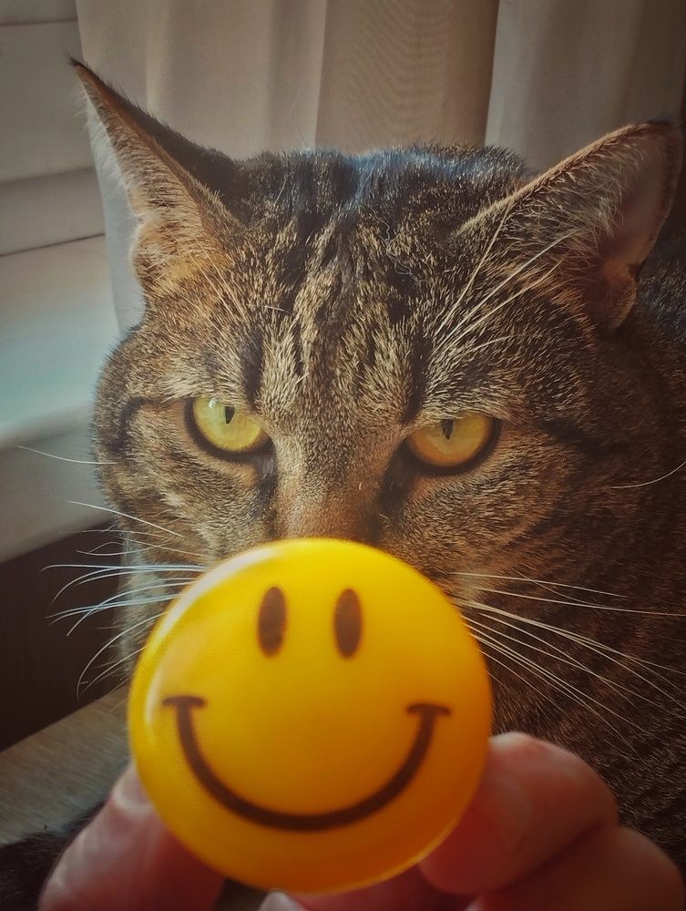 Photograph by Ия Дирко