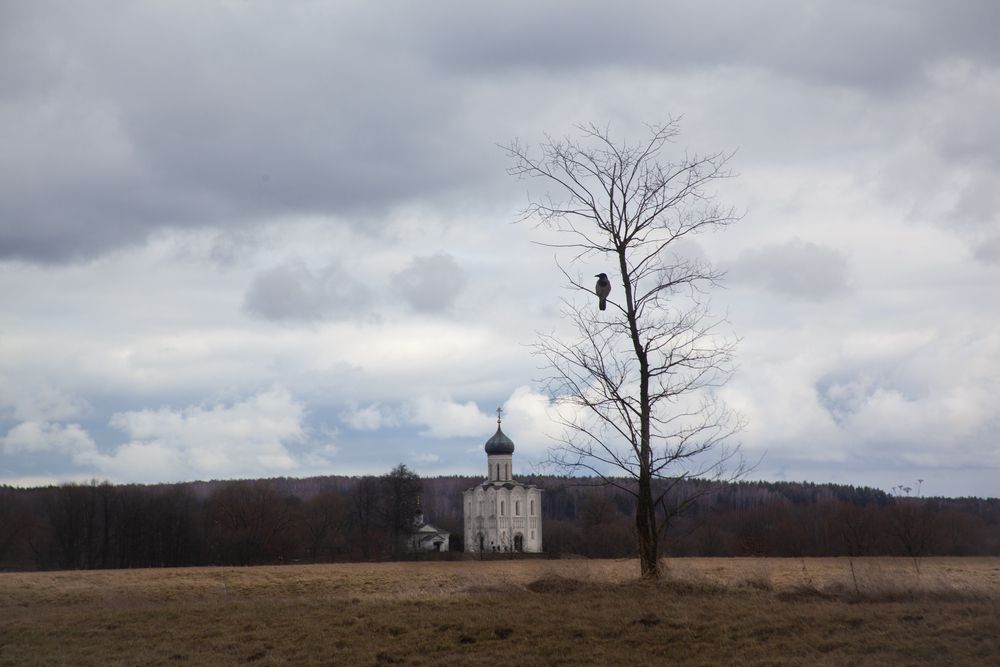 Photograph by Михаил Строев