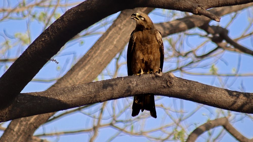 Photograph by Anurag Kashyap