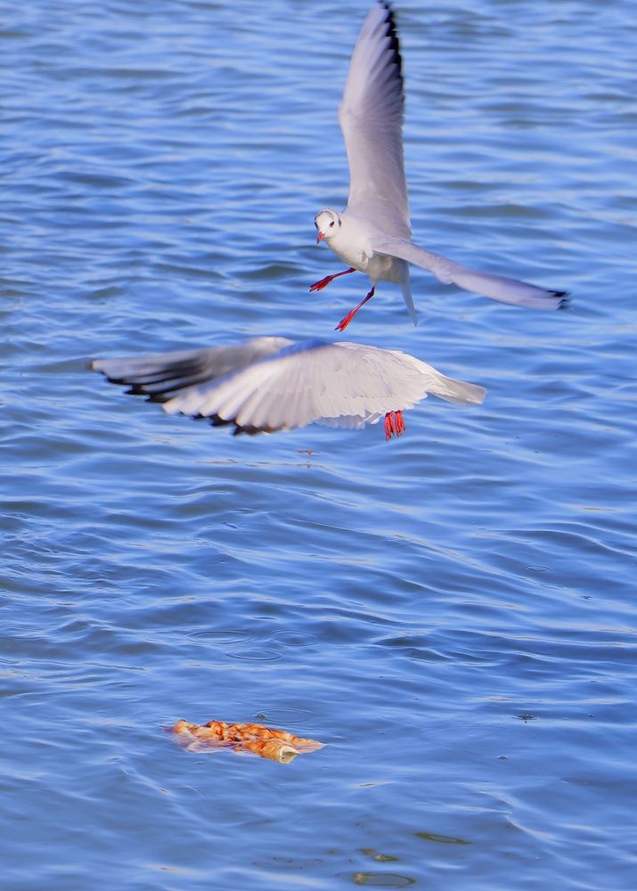 Photograph by Shaiban photography