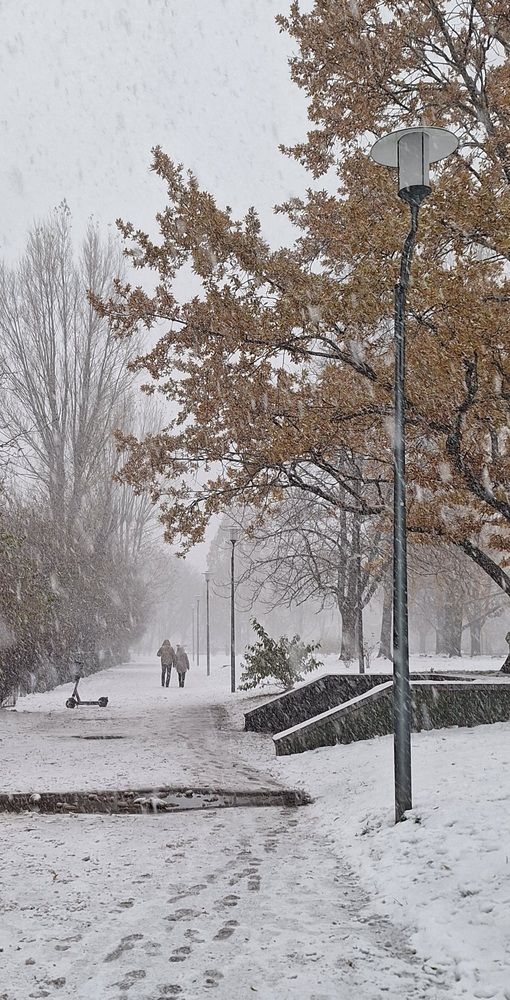 Photograph by Дина Темницкая