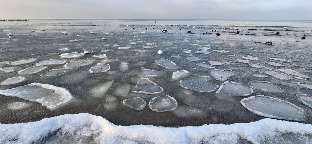 Photograph by Дина Темницкая