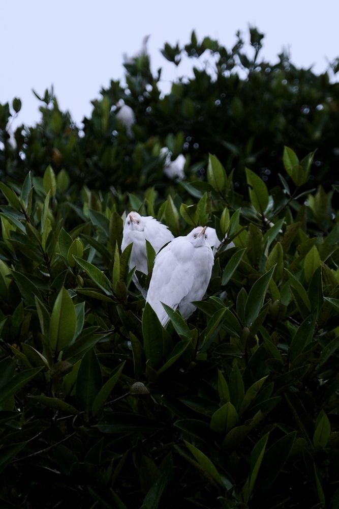 Photograph by Аида Фай