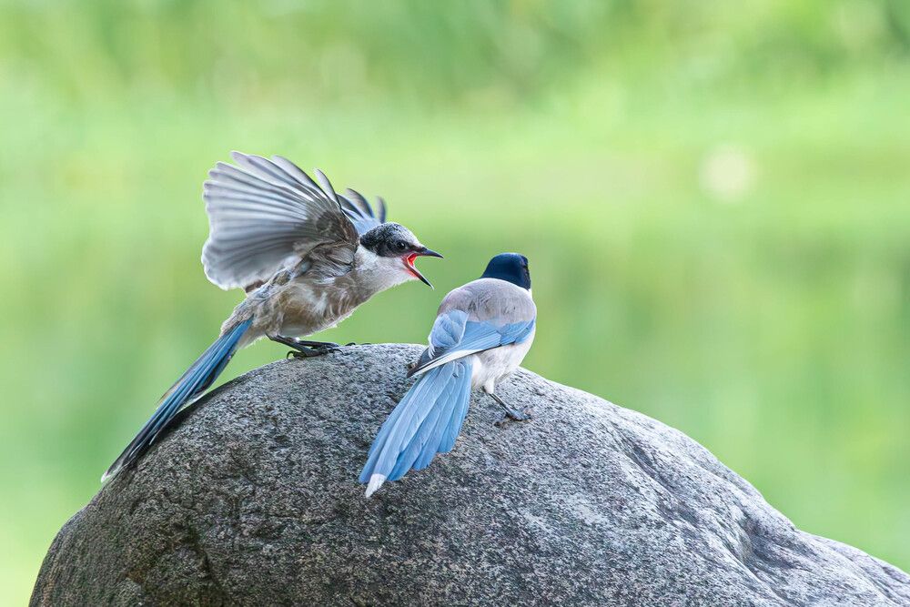 Фотография автора Alexei Kriptozoy