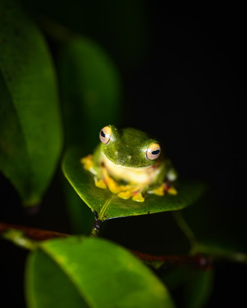 Photograph by Ankit Bhatta