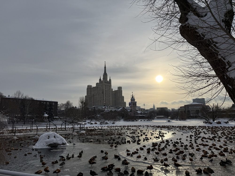 Photograph by Светлана Парамонова