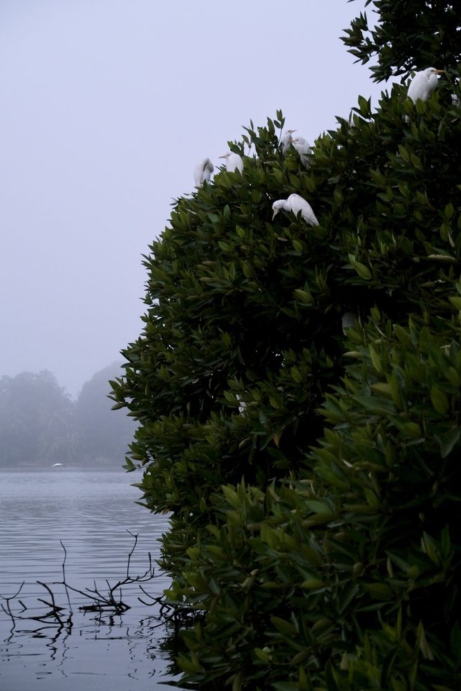 Photograph by Аида Фай