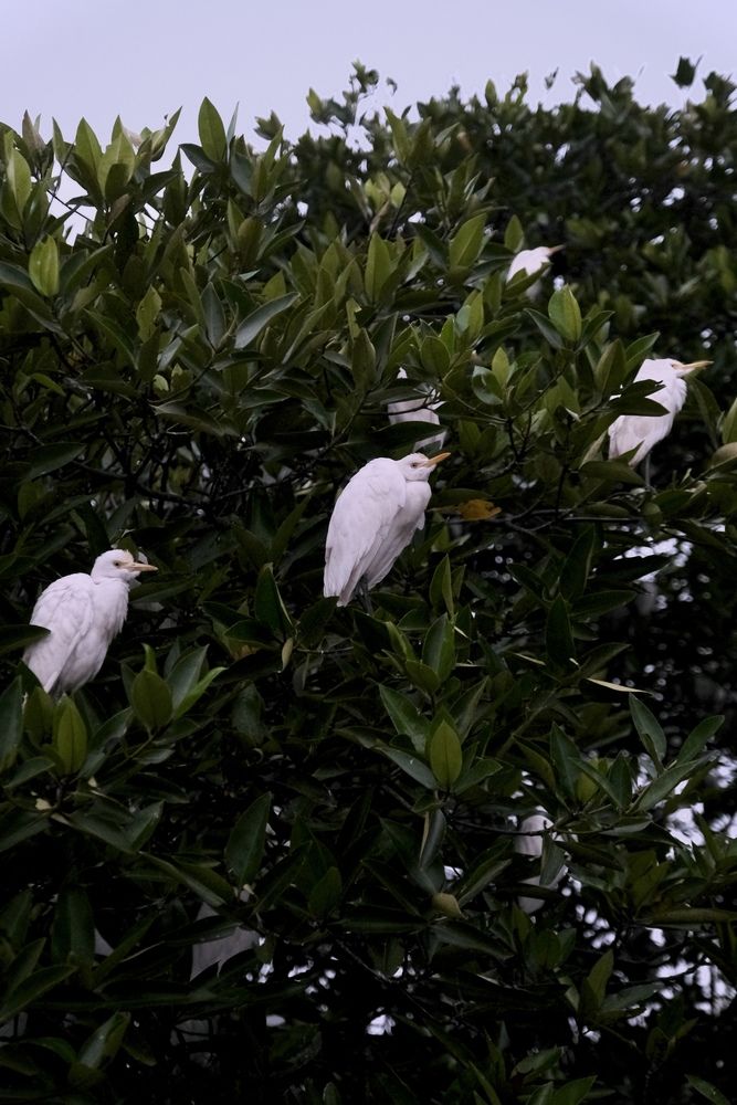 Photograph by Аида Фай