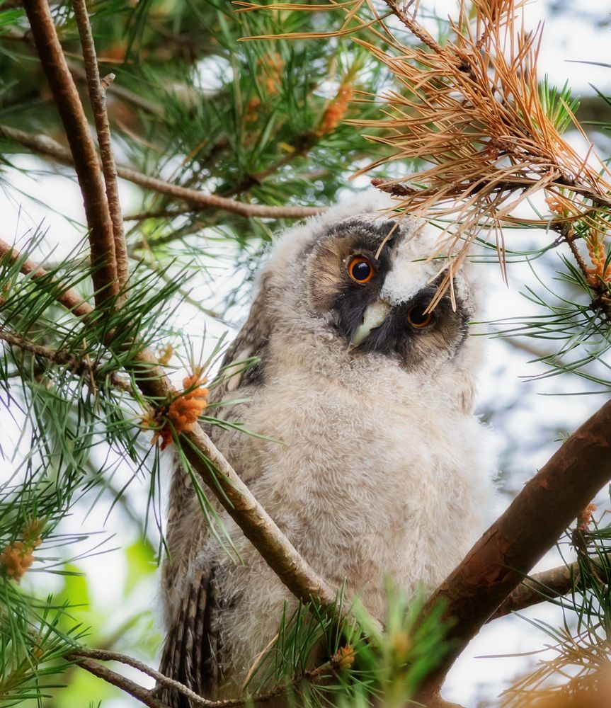 Photograph by Олег Чернышев
