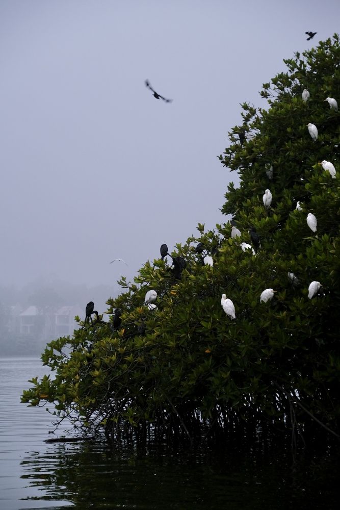 Photograph by Аида Фай