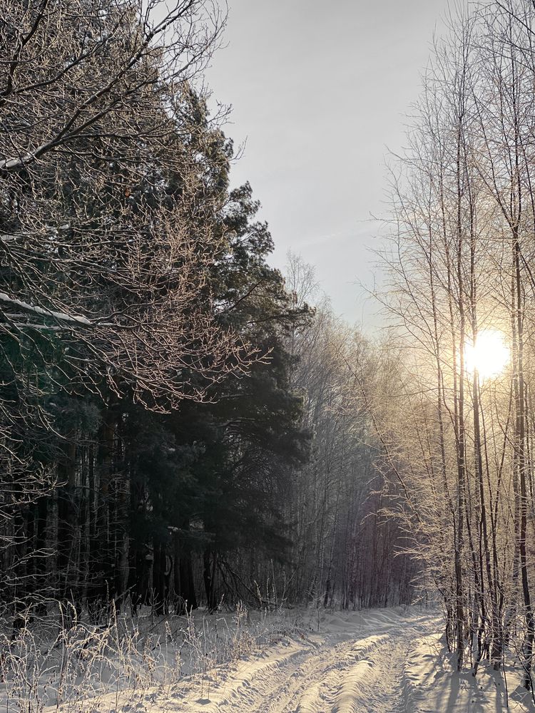 Мороз и солнце!