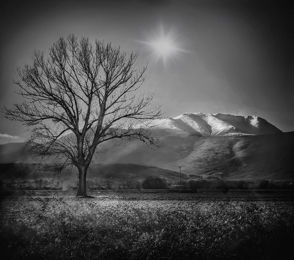 Photo #13111841